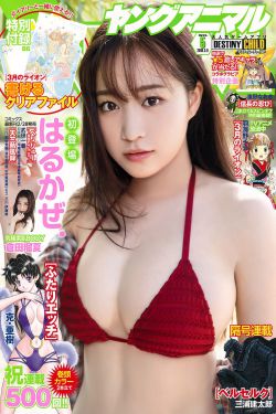 海贼王电视剧在线观看
