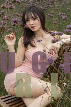狼群社区视频在线高清免费观看