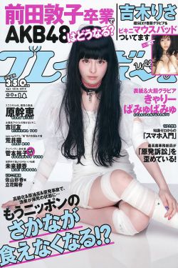 奇妙小森林免费观看完整版