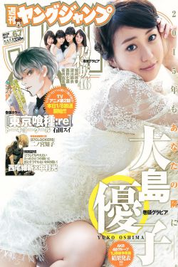 辣手回春国正片