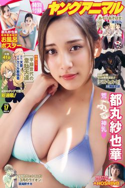 欧美日韩视费观看视频手机版