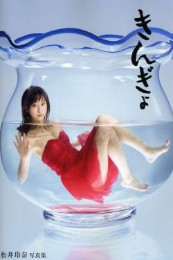 欧洲vs美洲视频高清